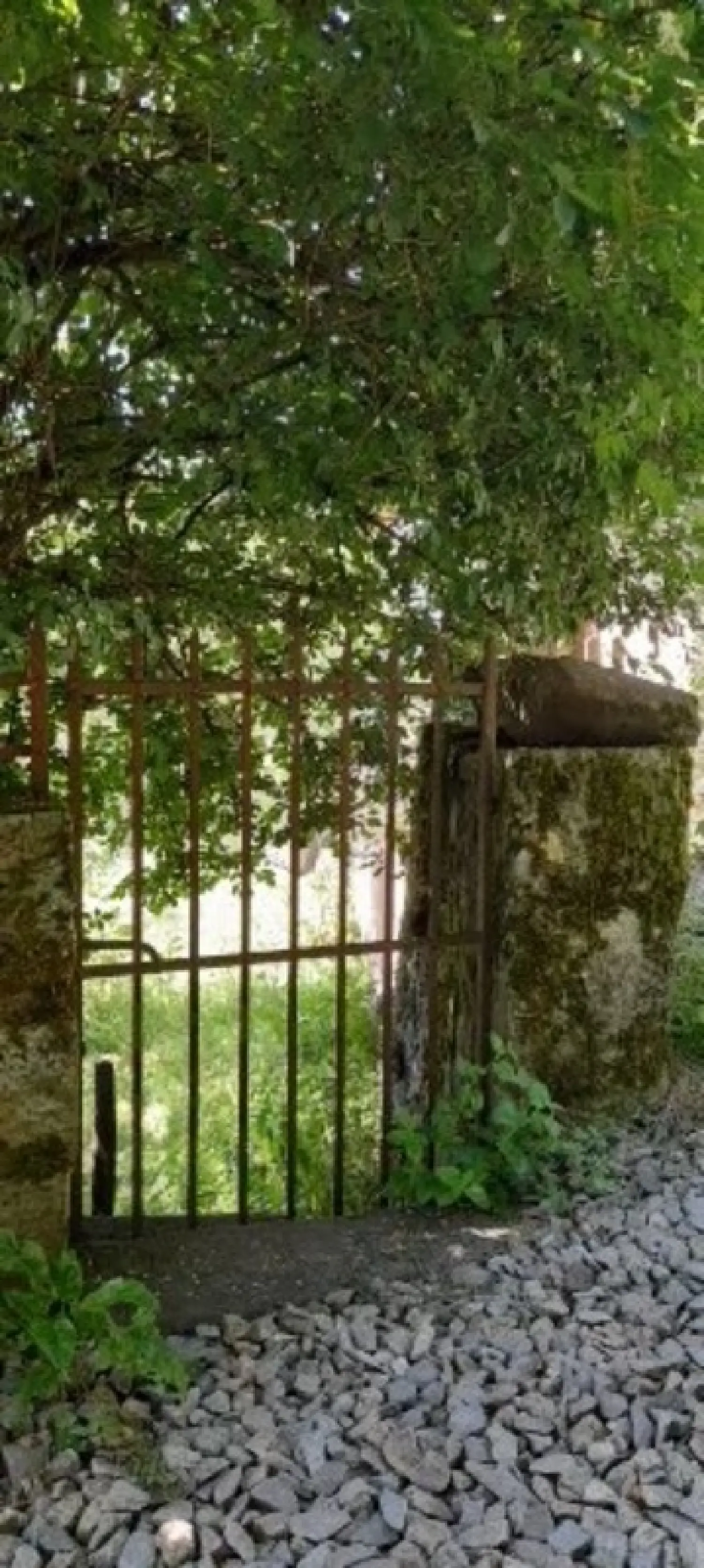  à vendre maison Lascelle Cantal 5