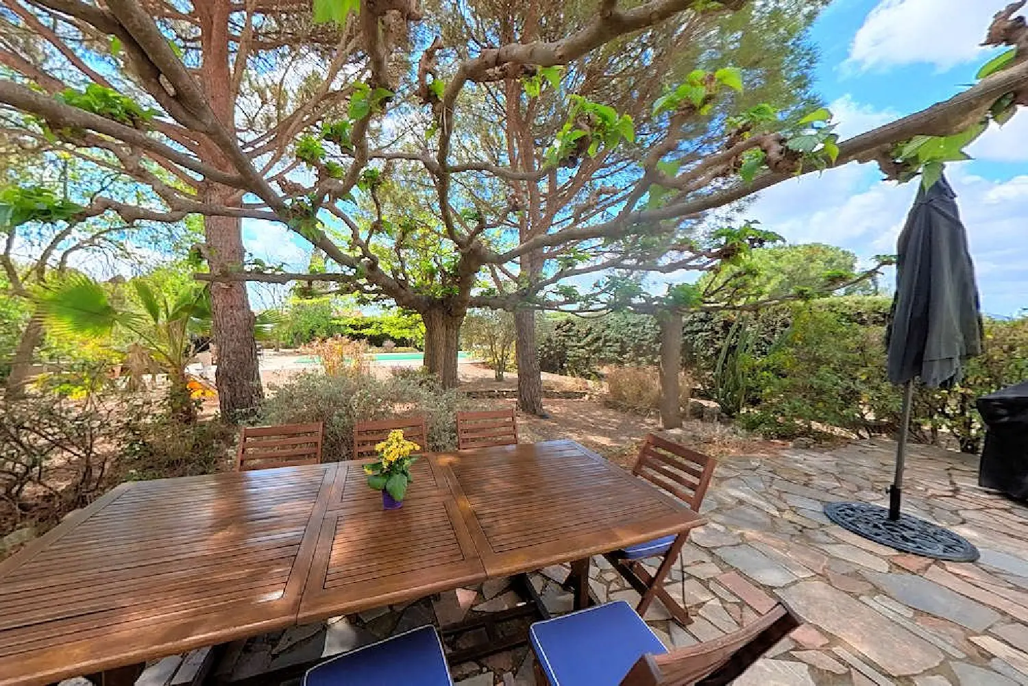  for sale house Laurens Hérault 1