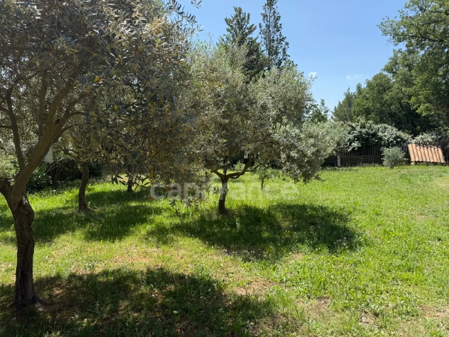  te koop huis Lauris Vaucluse 3