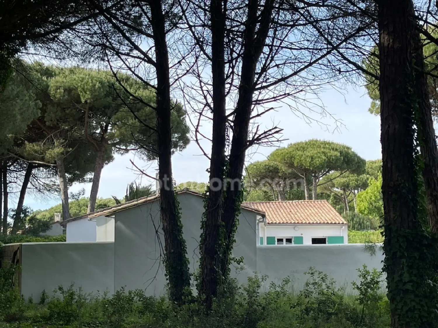 en venta casa Le Bois-Plage-en-Ré Charente-Maritime 3