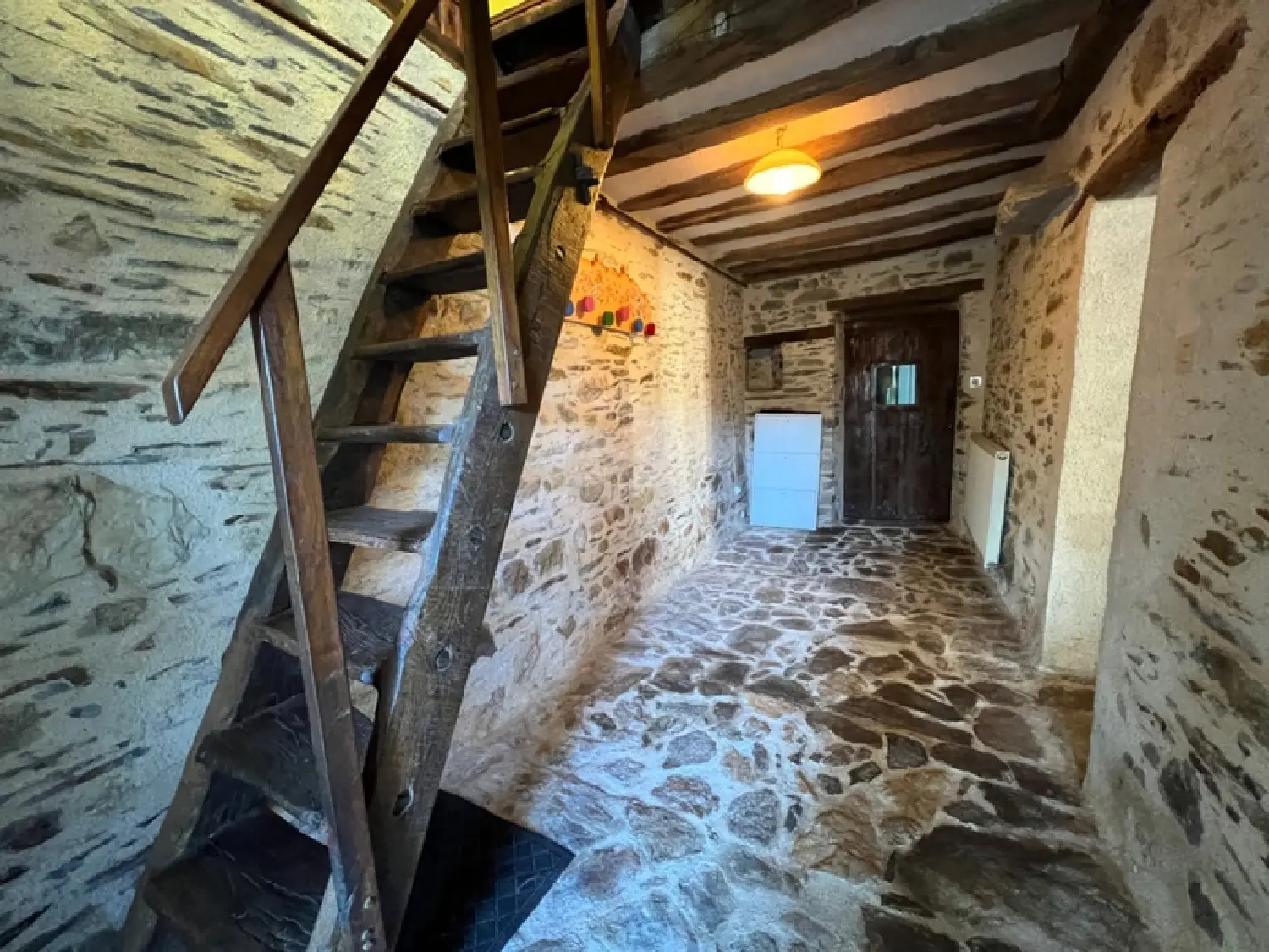  for sale house Le Lion-d'Angers Maine-et-Loire 3