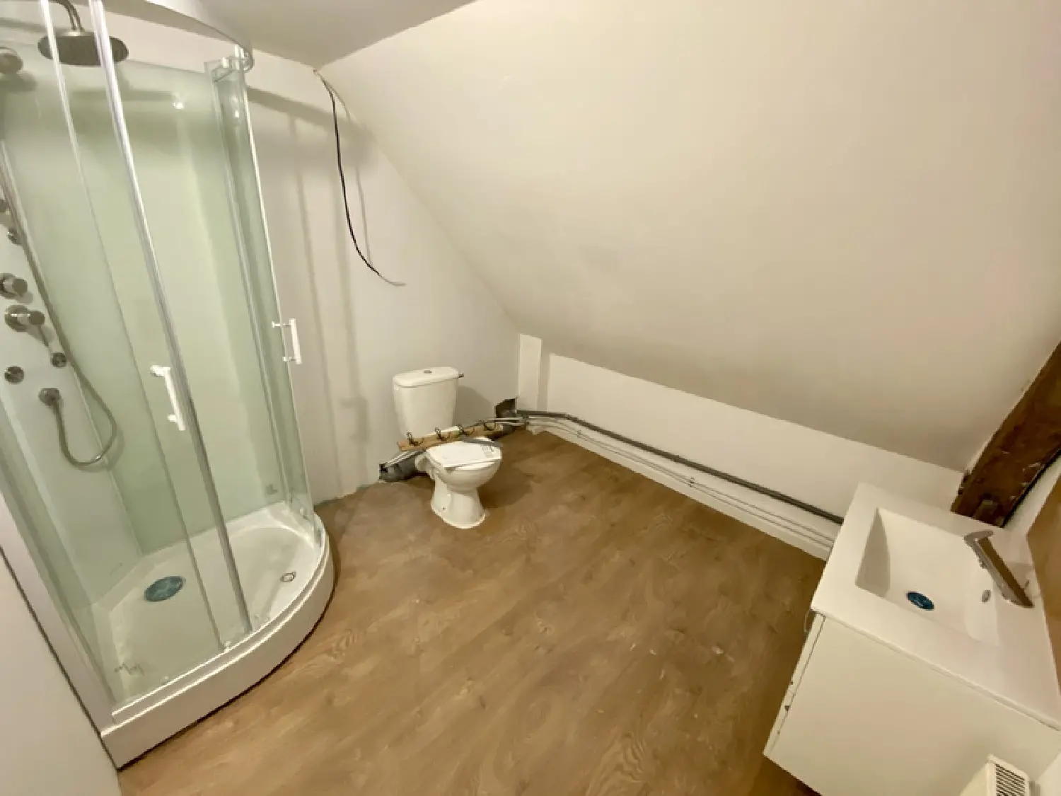  te koop huis Le Lion-d'Angers Maine-et-Loire 6