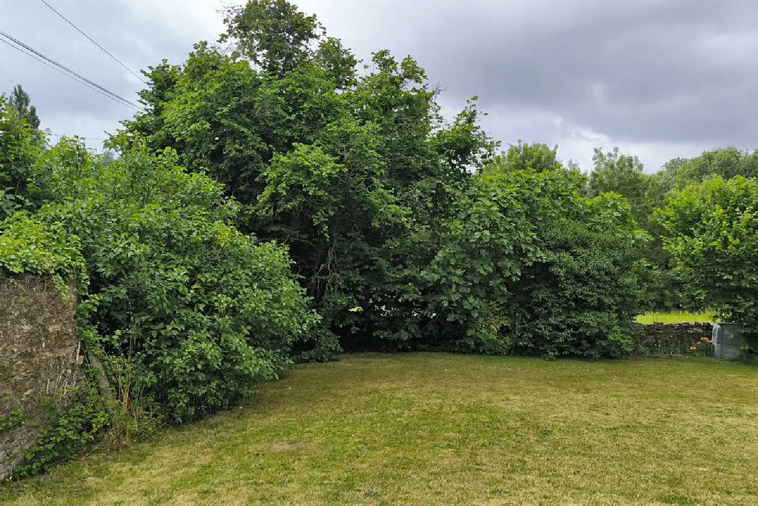  te koop huis Le Loroux-Bottereau Loire-Atlantique 2