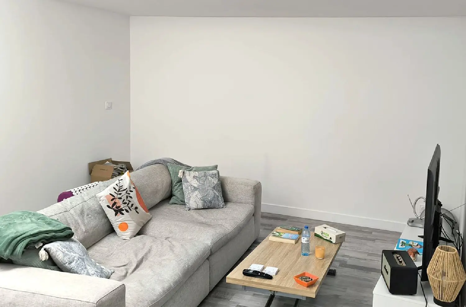  te koop huis Le Loroux-Bottereau Loire-Atlantique 3