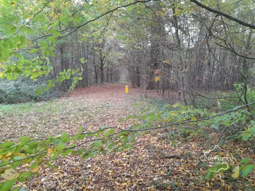  à vendre maison Le Nouvion-en-Thiérache Aisne 4