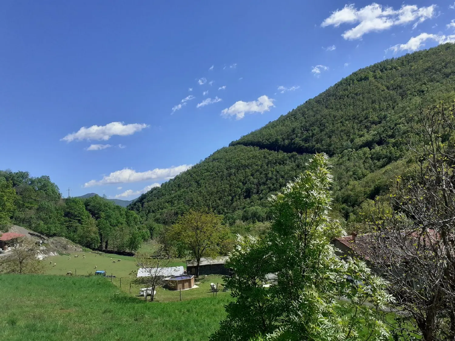  te koop huis Le Tech Pyrénées-Orientales 2