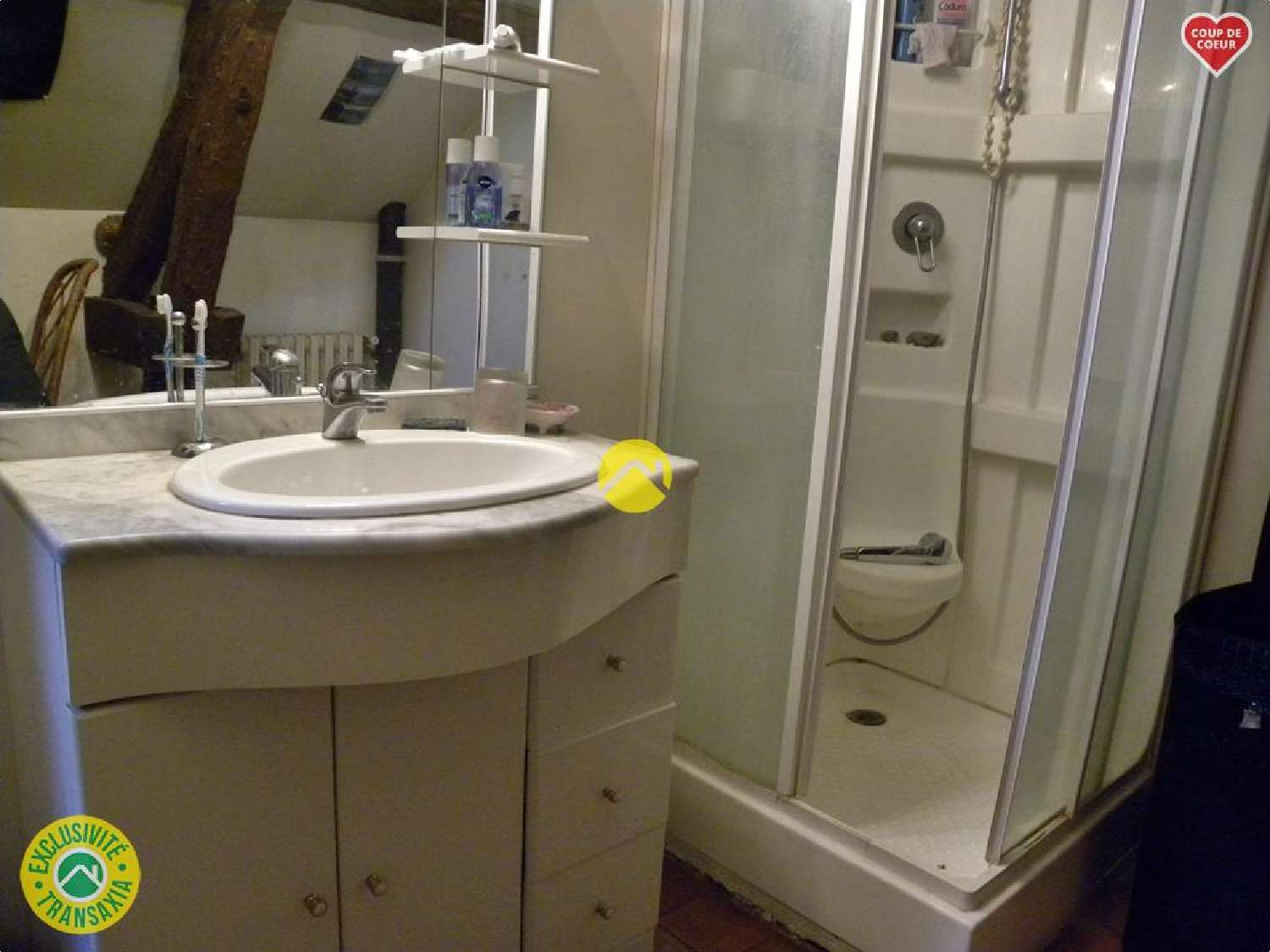  te koop huis Léré Cher 8
