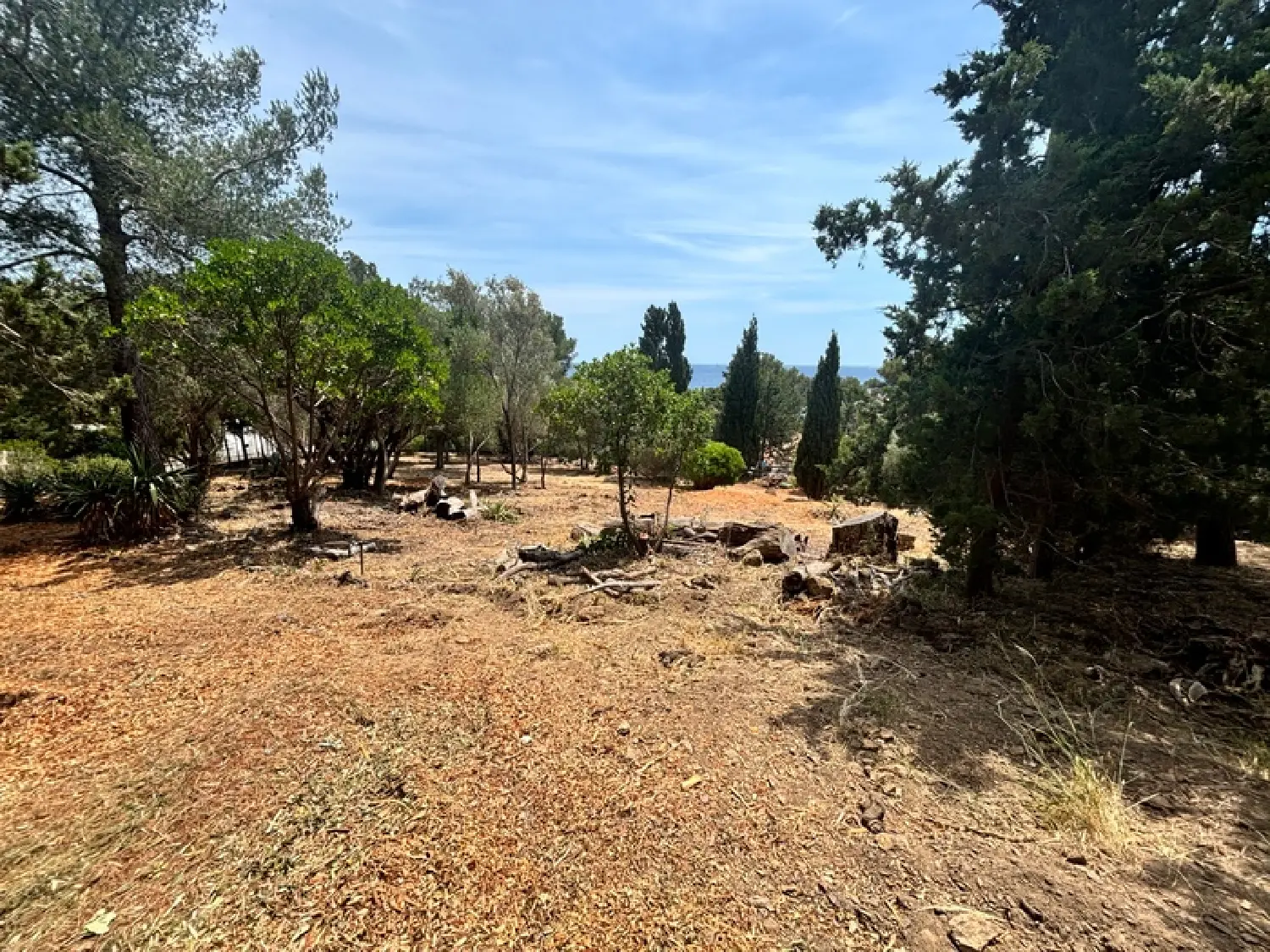  for sale house Les Issambres Var 6