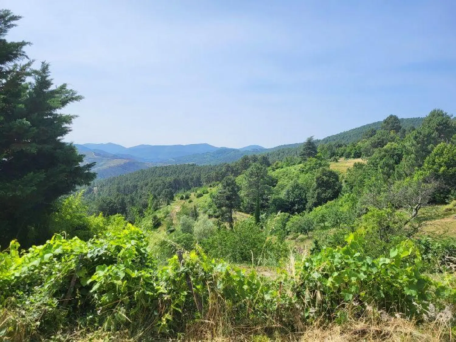 en venta casa Les Vans Ardèche 2