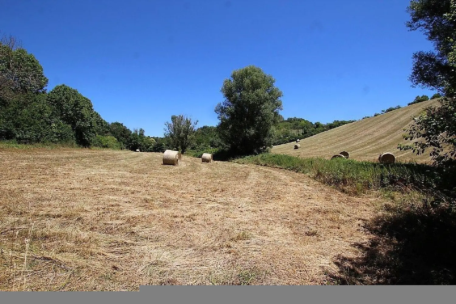  à vendre maison Lézat-sur-Lèze Ariège 2