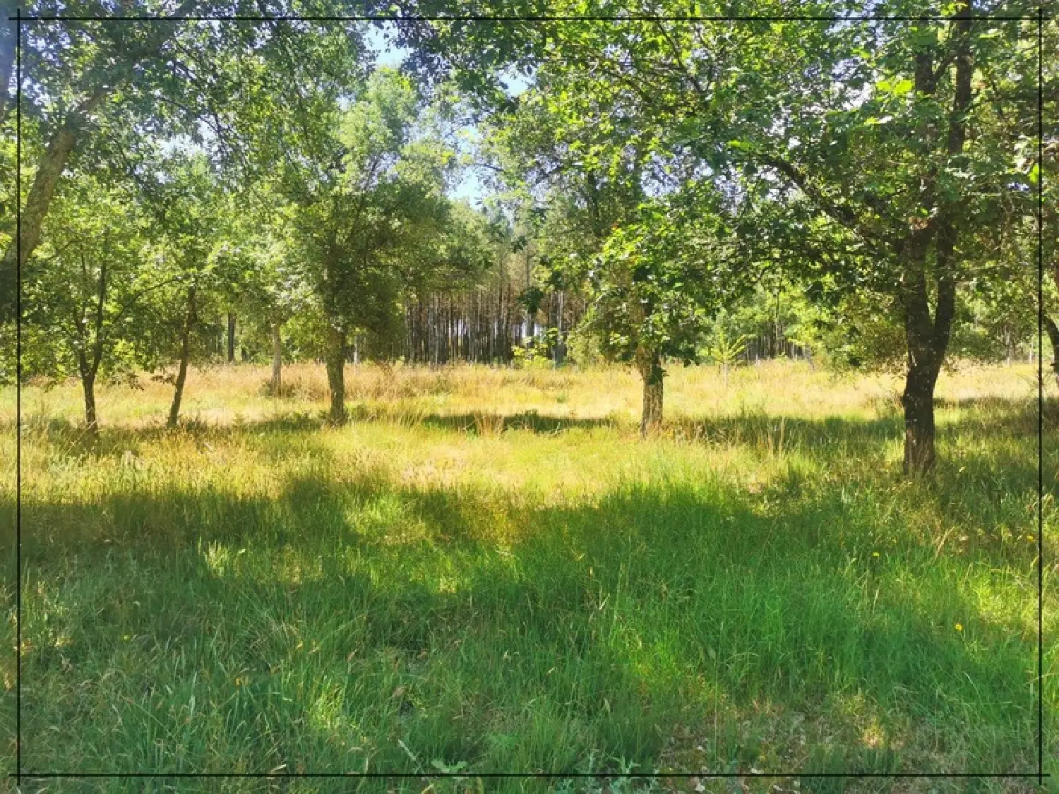  à vendre maison Lisse Lot-et-Garonne 5