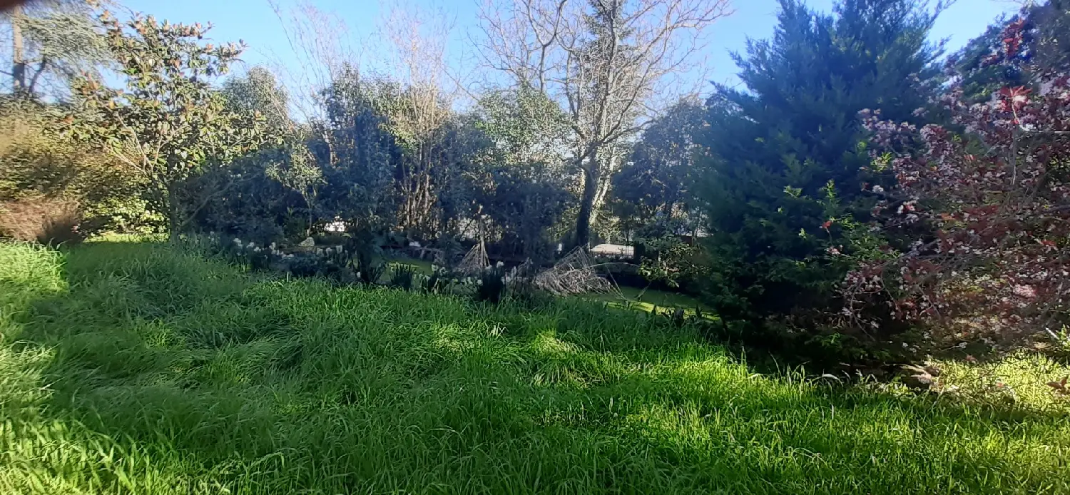  te koop huis Lodève Hérault 4