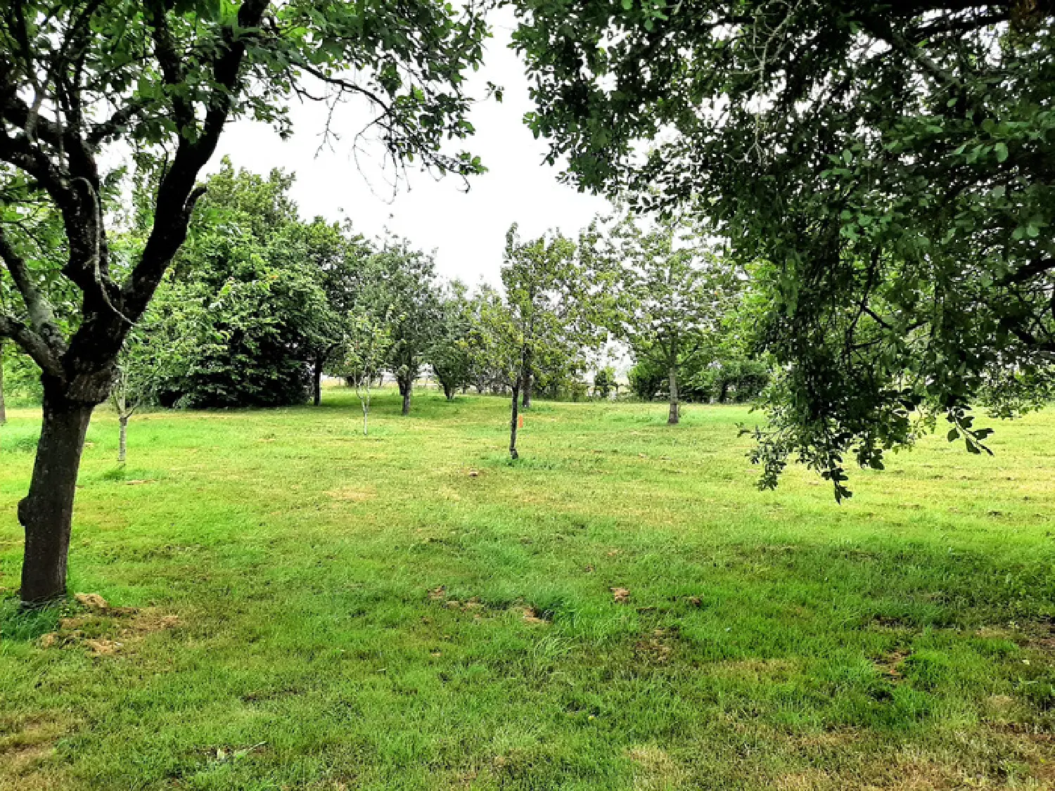  en venta casa Longèves Vendée 7