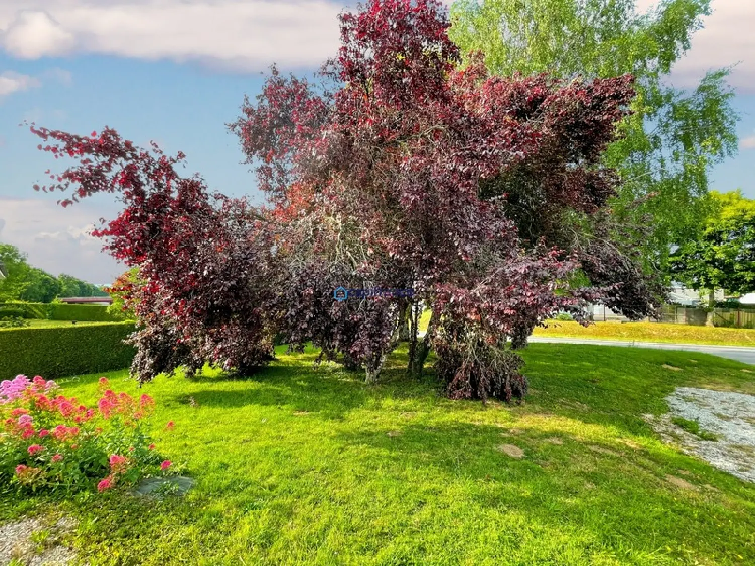  for sale house Lonrai Orne 8