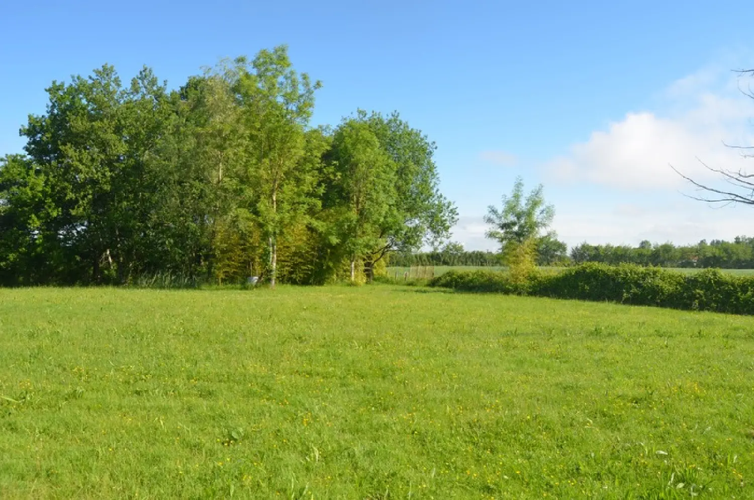  à vendre maison Louhans Saône-et-Loire 7