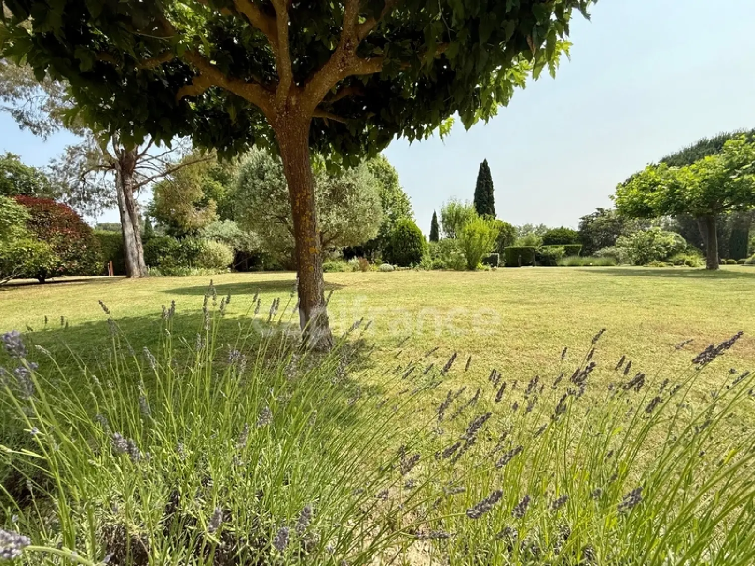  te koop huis Lourmarin Vaucluse 5