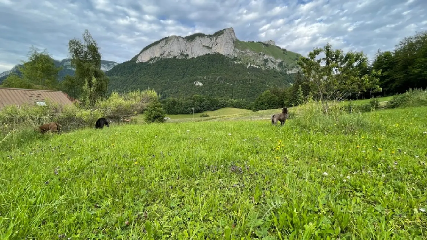  à vendre maison Lullin Haute-Savoie 7