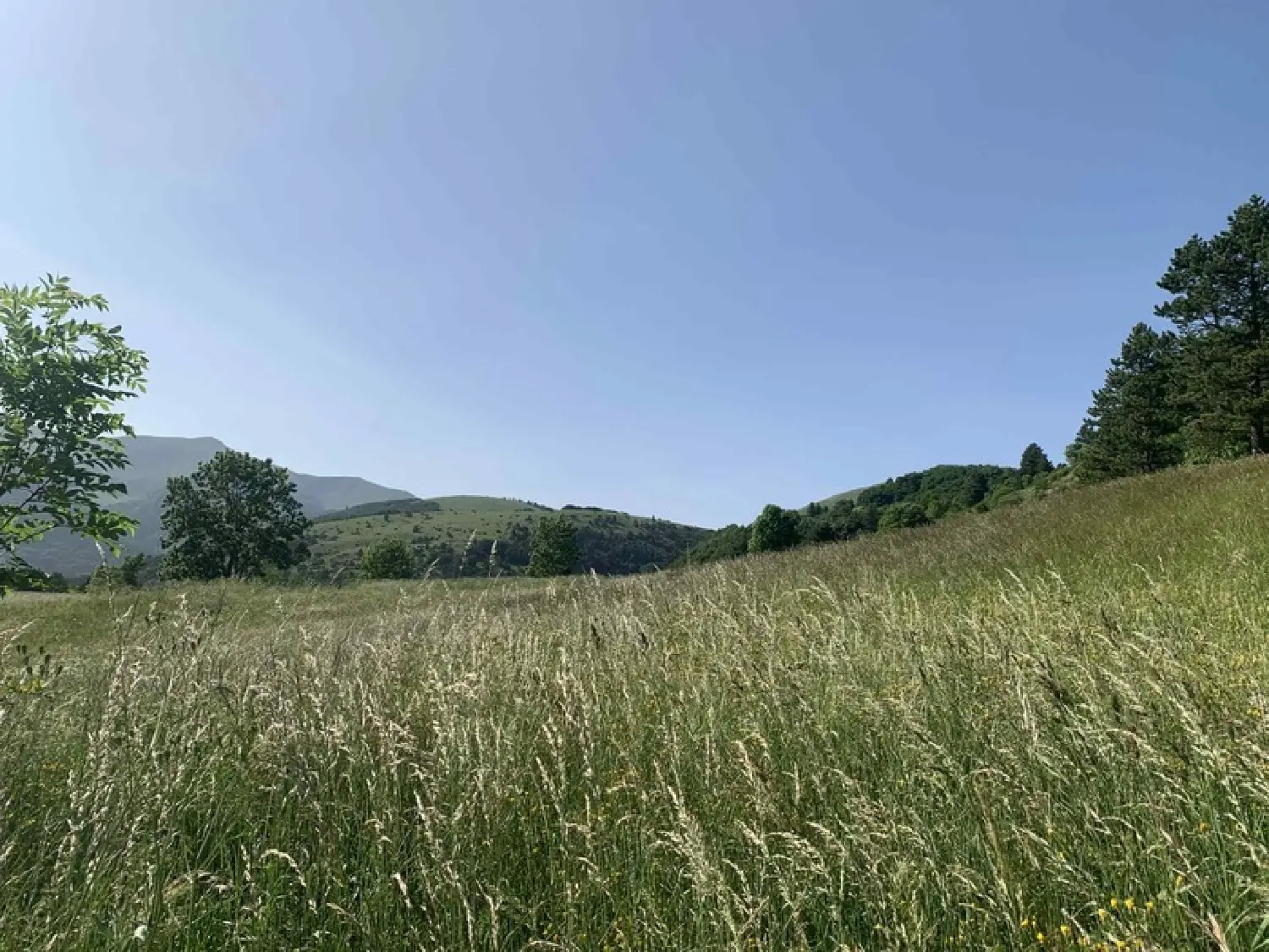  for sale house Lus-la-Croix-Haute Drôme 4