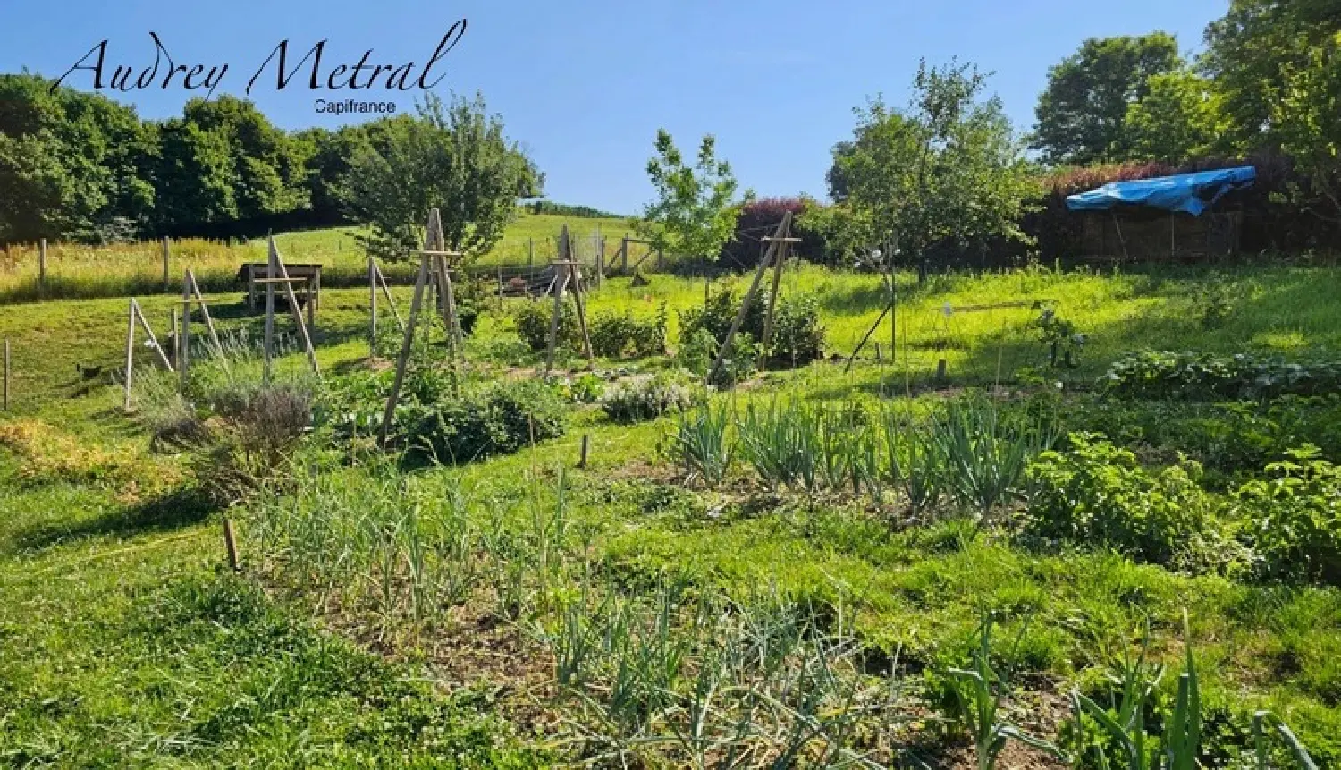  en venta casa Magnieu Ain 2