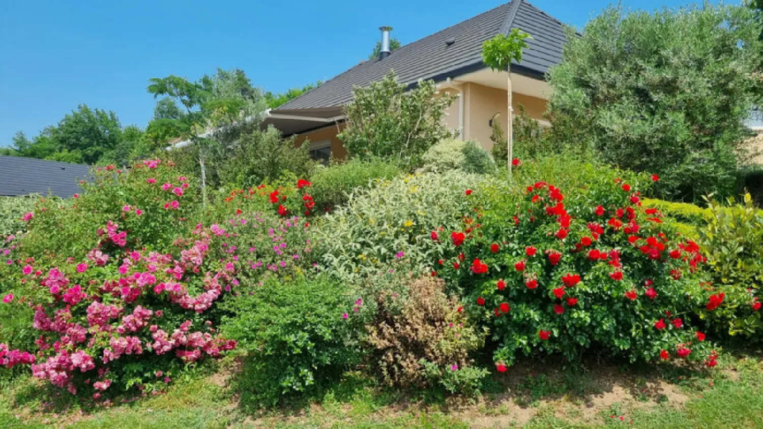  en venta casa Malemort-sur-Corrèze Corrèze 8