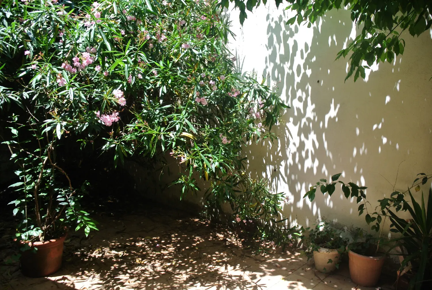  en venta casa Marmande Lot-et-Garonne 3