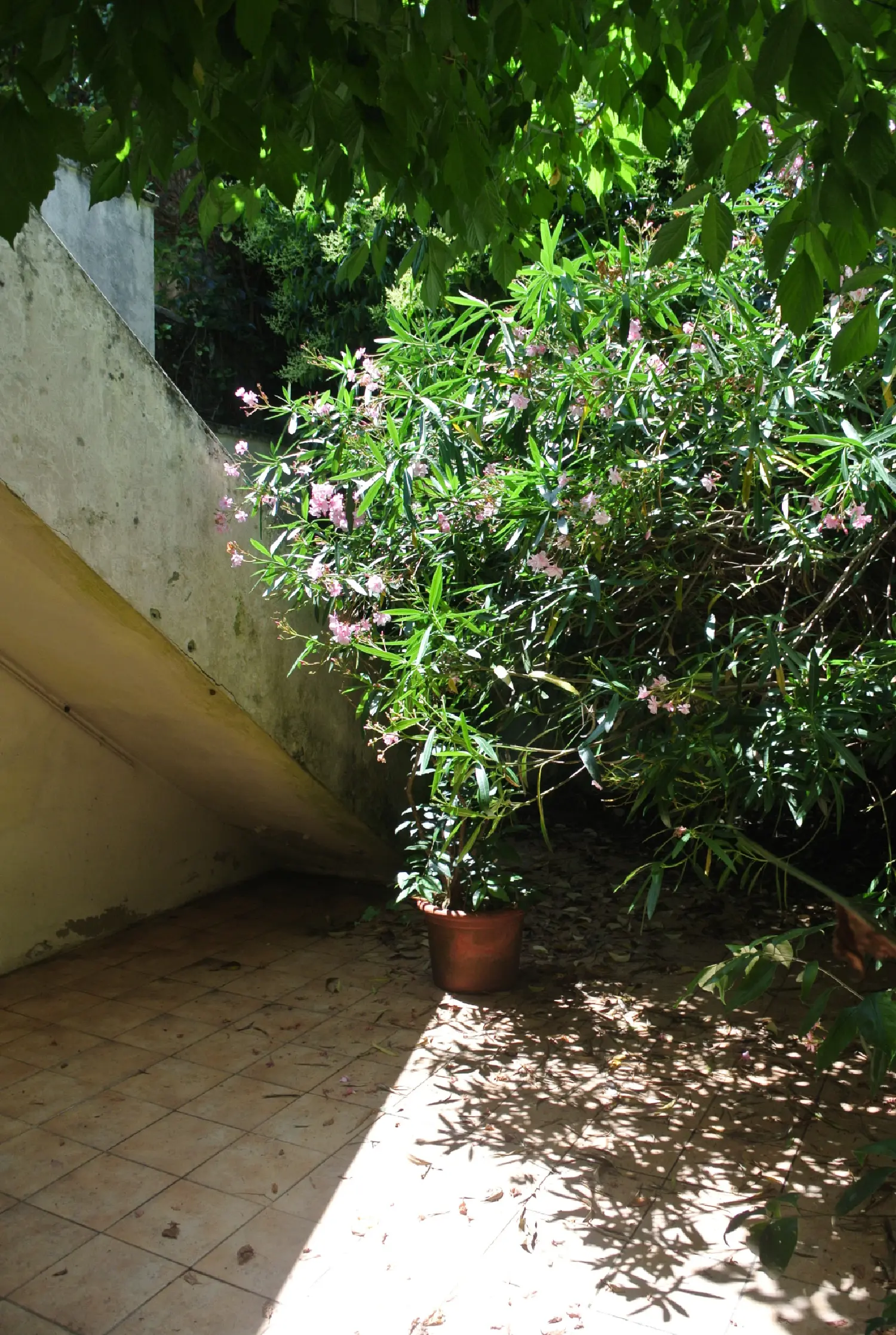  en venta casa Marmande Lot-et-Garonne 6