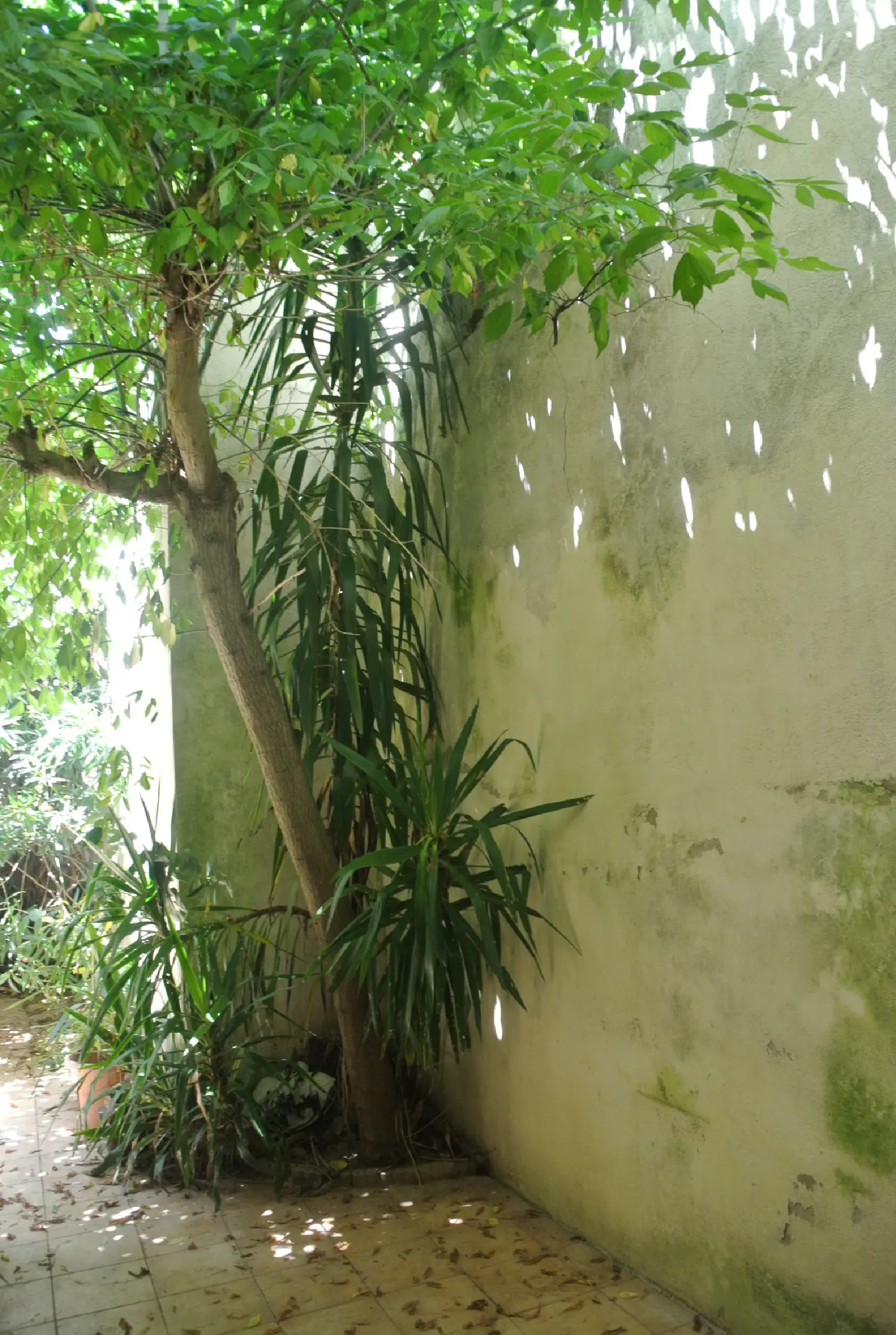  en venta casa Marmande Lot-et-Garonne 7