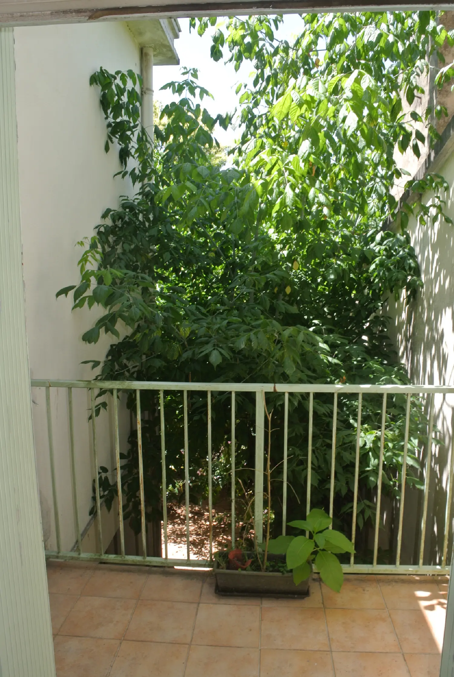  en venta casa Marmande Lot-et-Garonne 8