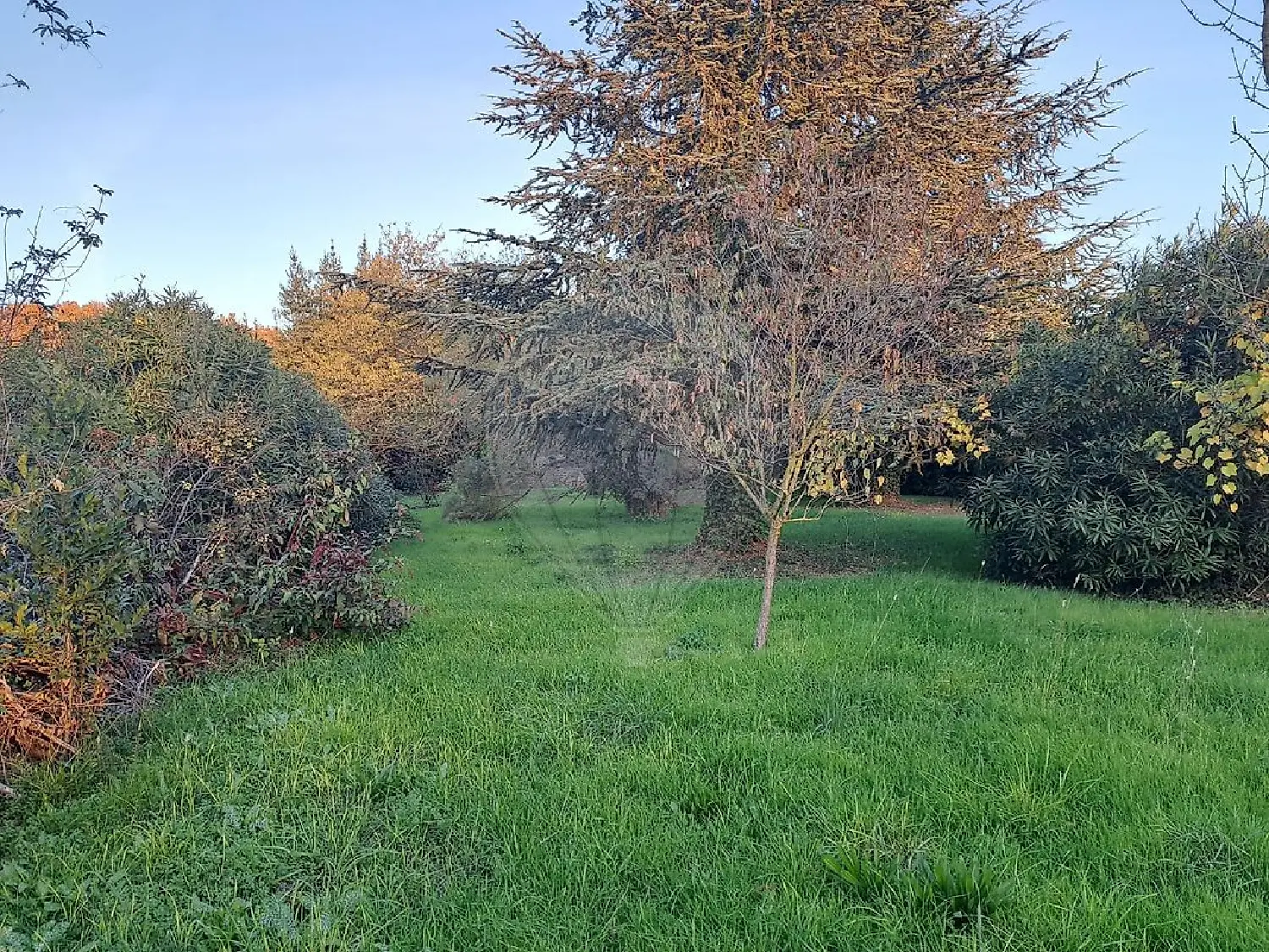  en venta casa Marsillargues Hérault 2