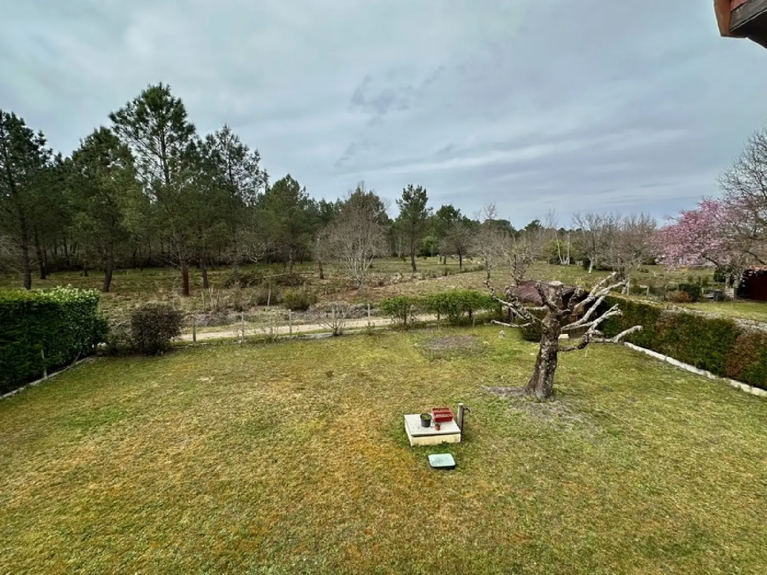  en venta casa Martignas-sur-Jalle Gironde 6