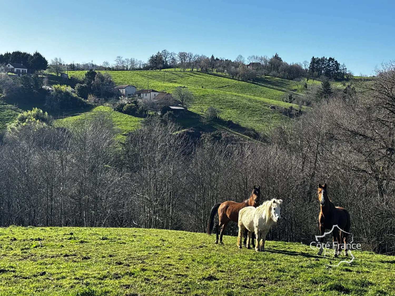  kaufen Haus Maurs Cantal 5