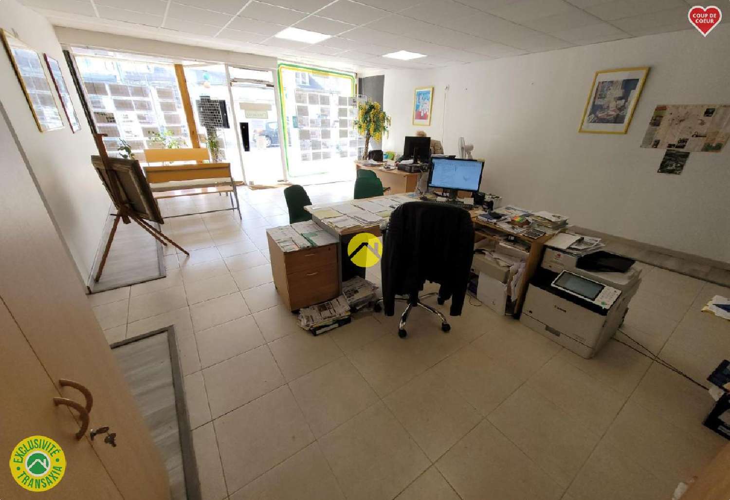  te koop huis Mehun-sur-Yèvre Cher 1