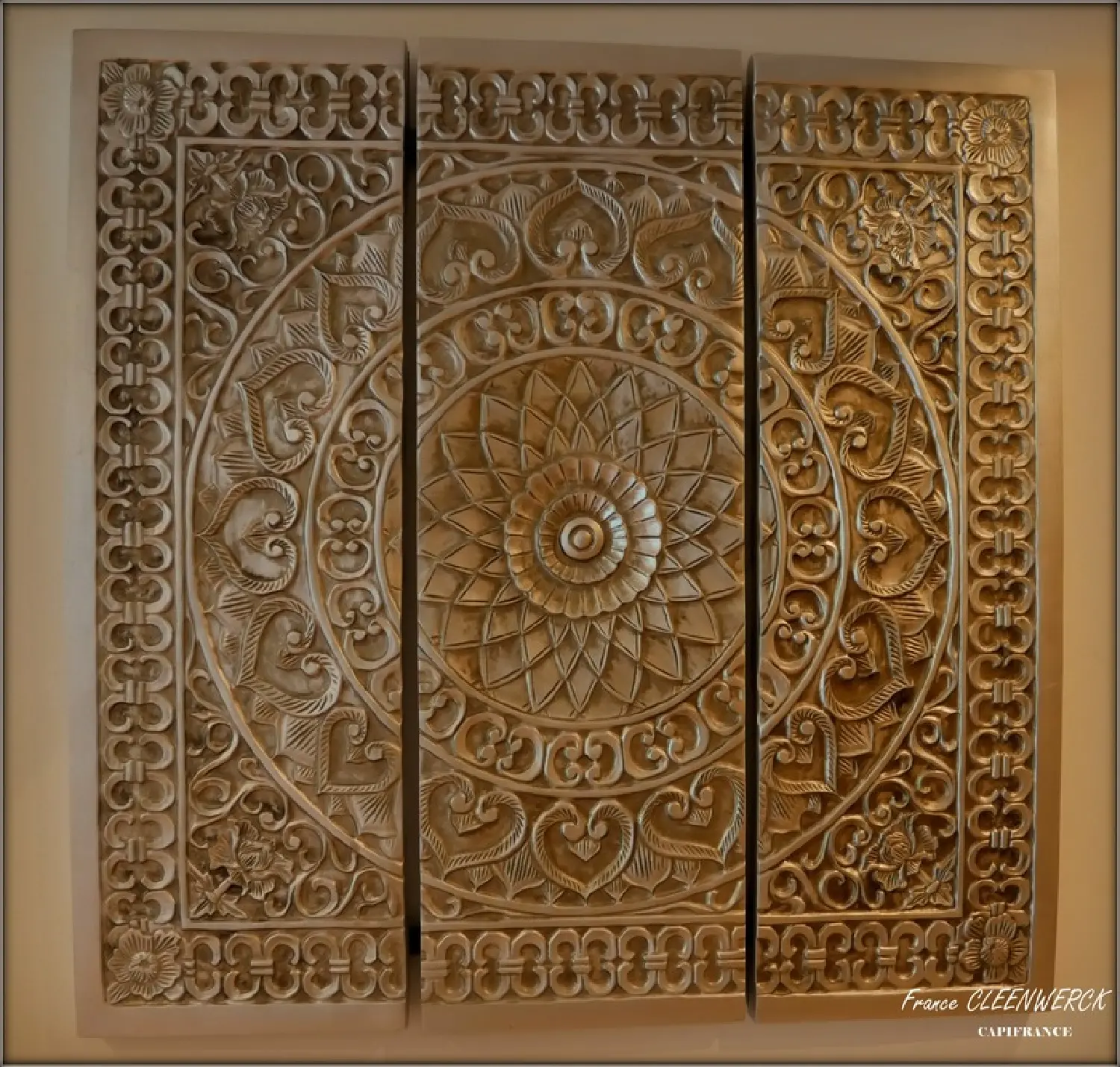  kaufen Haus Mésigny Haute-Savoie 6