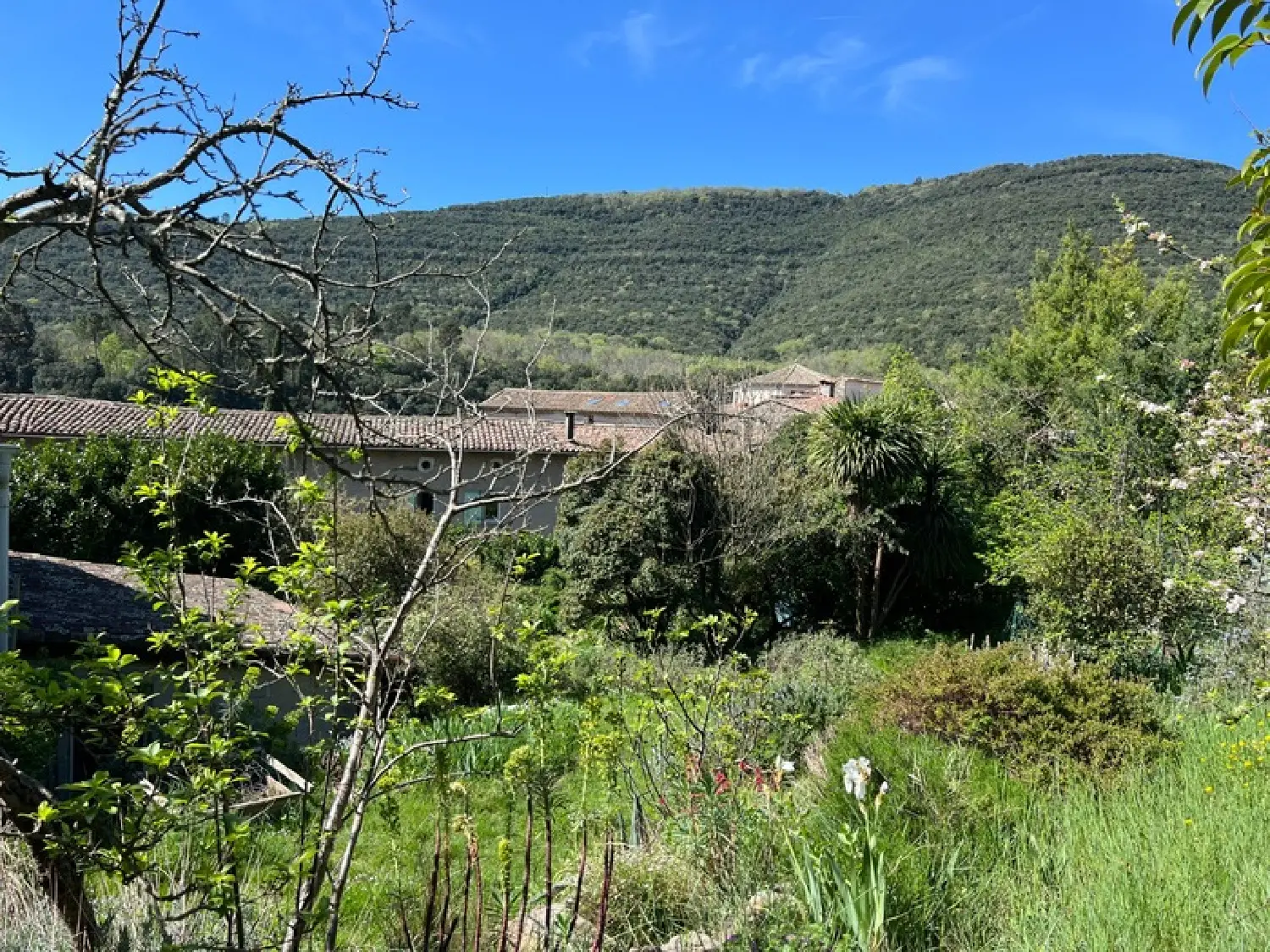  à vendre maison Mialet Gard 8