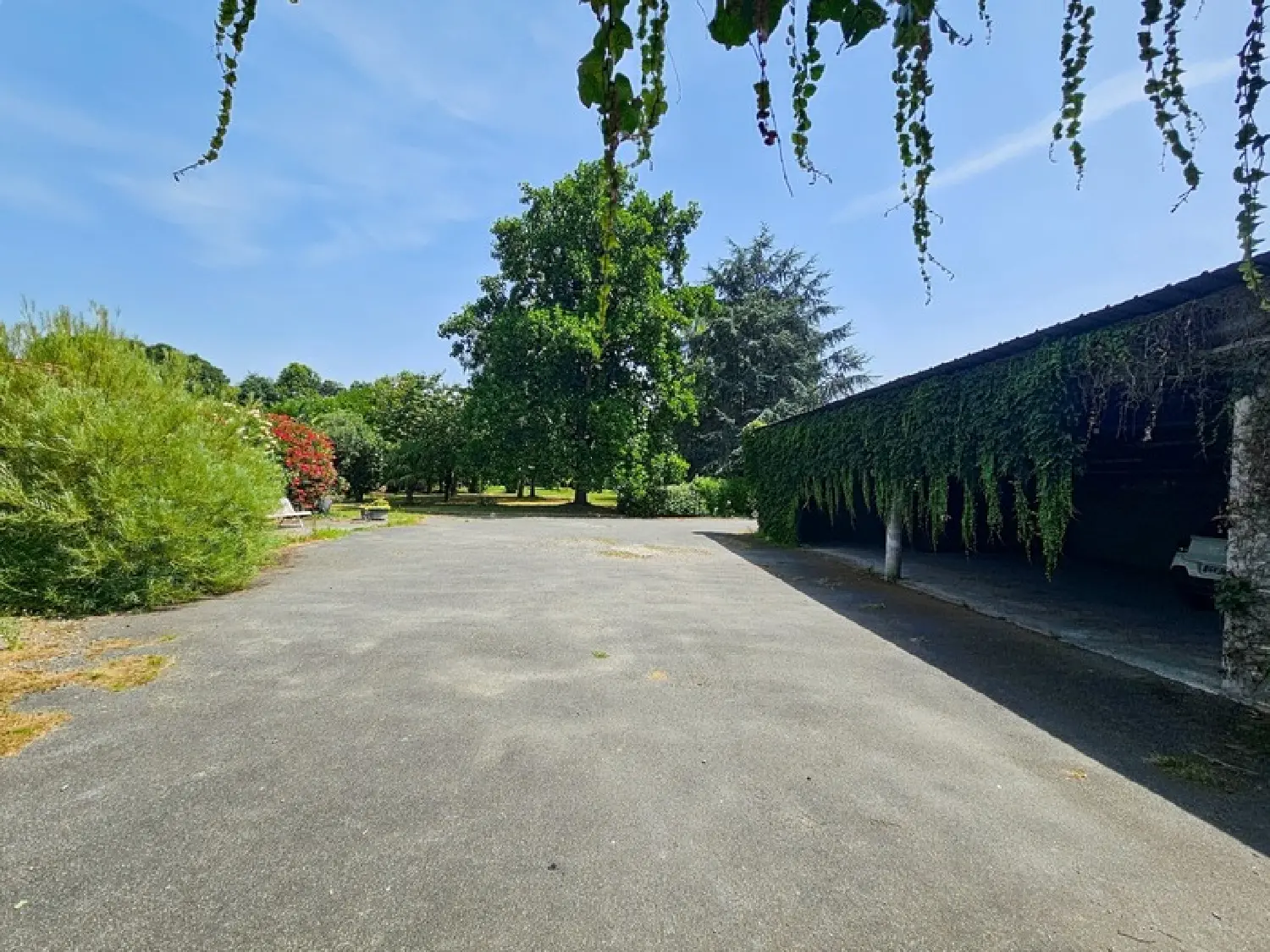  à vendre maison Momères Hautes-Pyrénées 5