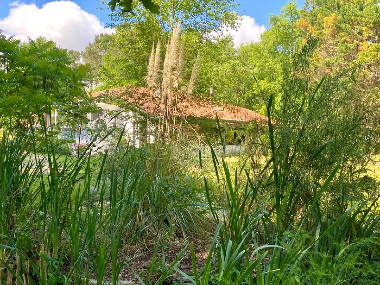  en venta casa Mont-de-Marsan Landes 1