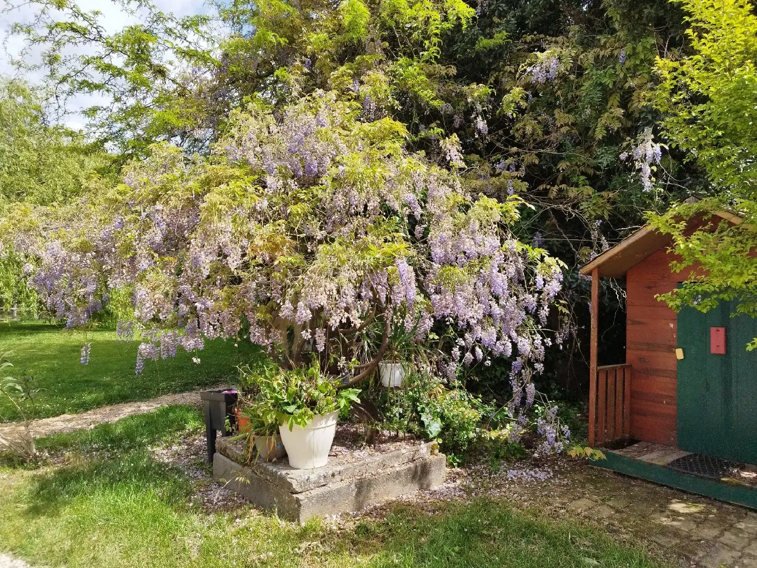  for sale house Montauban Tarn-et-Garonne 8