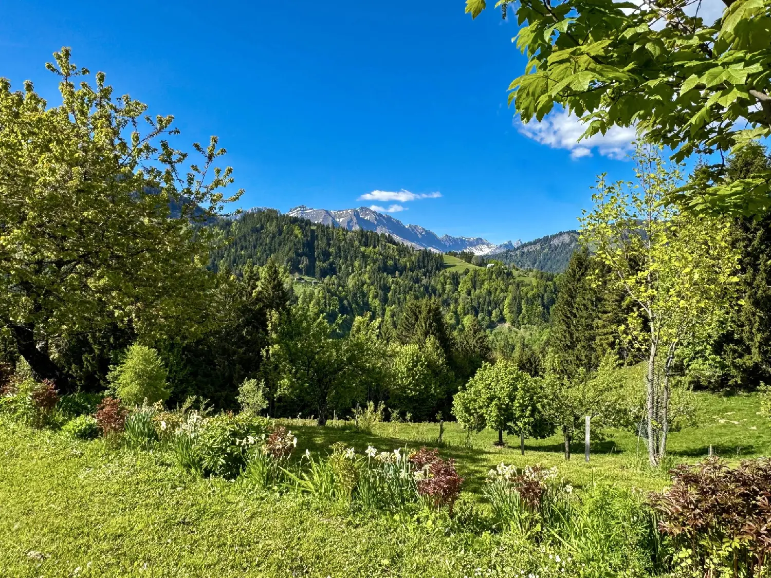  à vendre maison Montpothier Aube 7