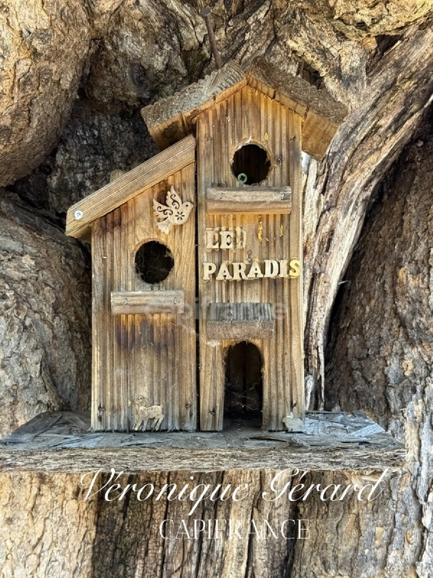  en venta casa Moulin-Neuf Dordoña 5