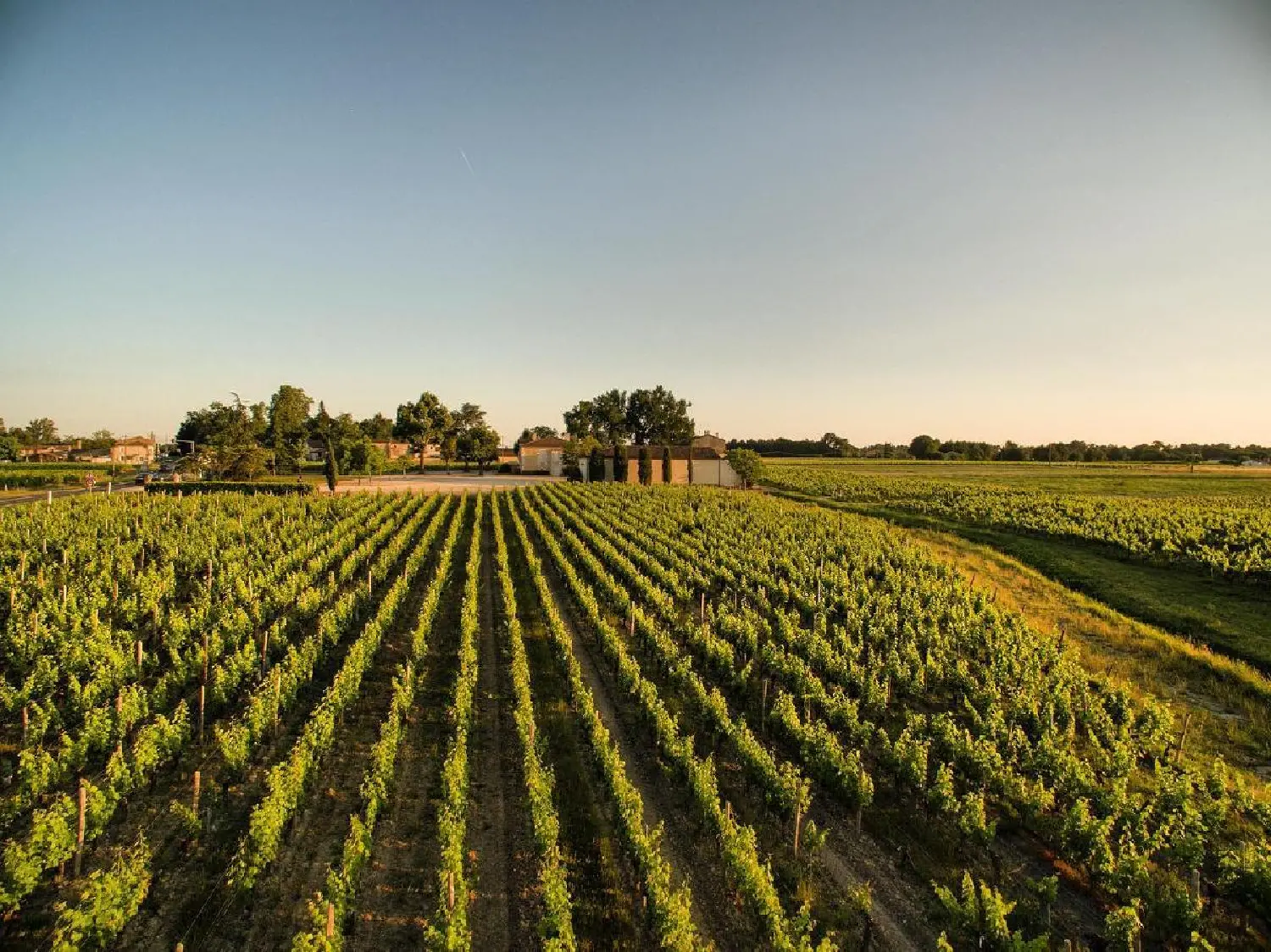  en venta casa Moulis-en-Médoc Gironde 4