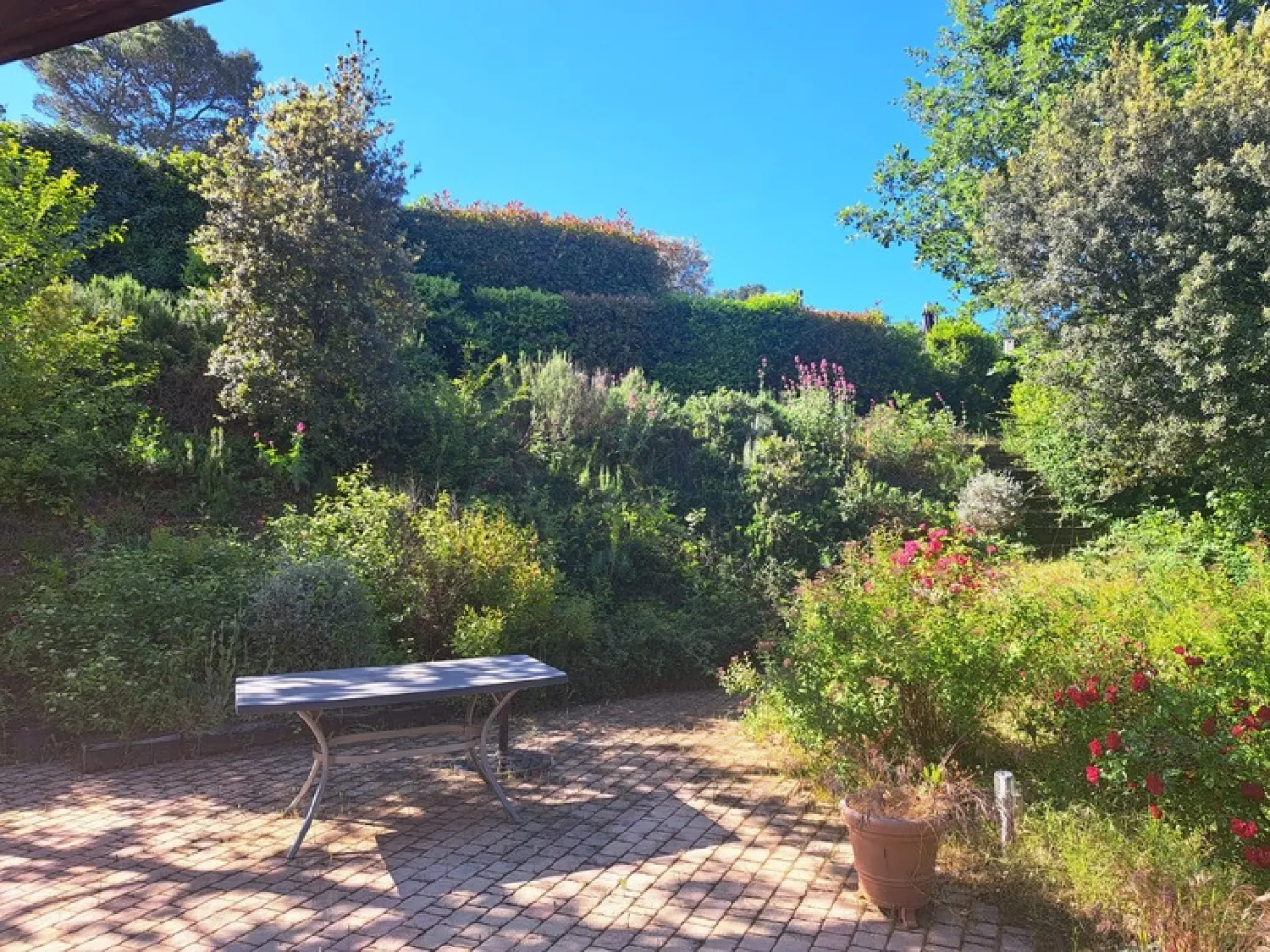  te koop huis Nans-les-Pins Var 2