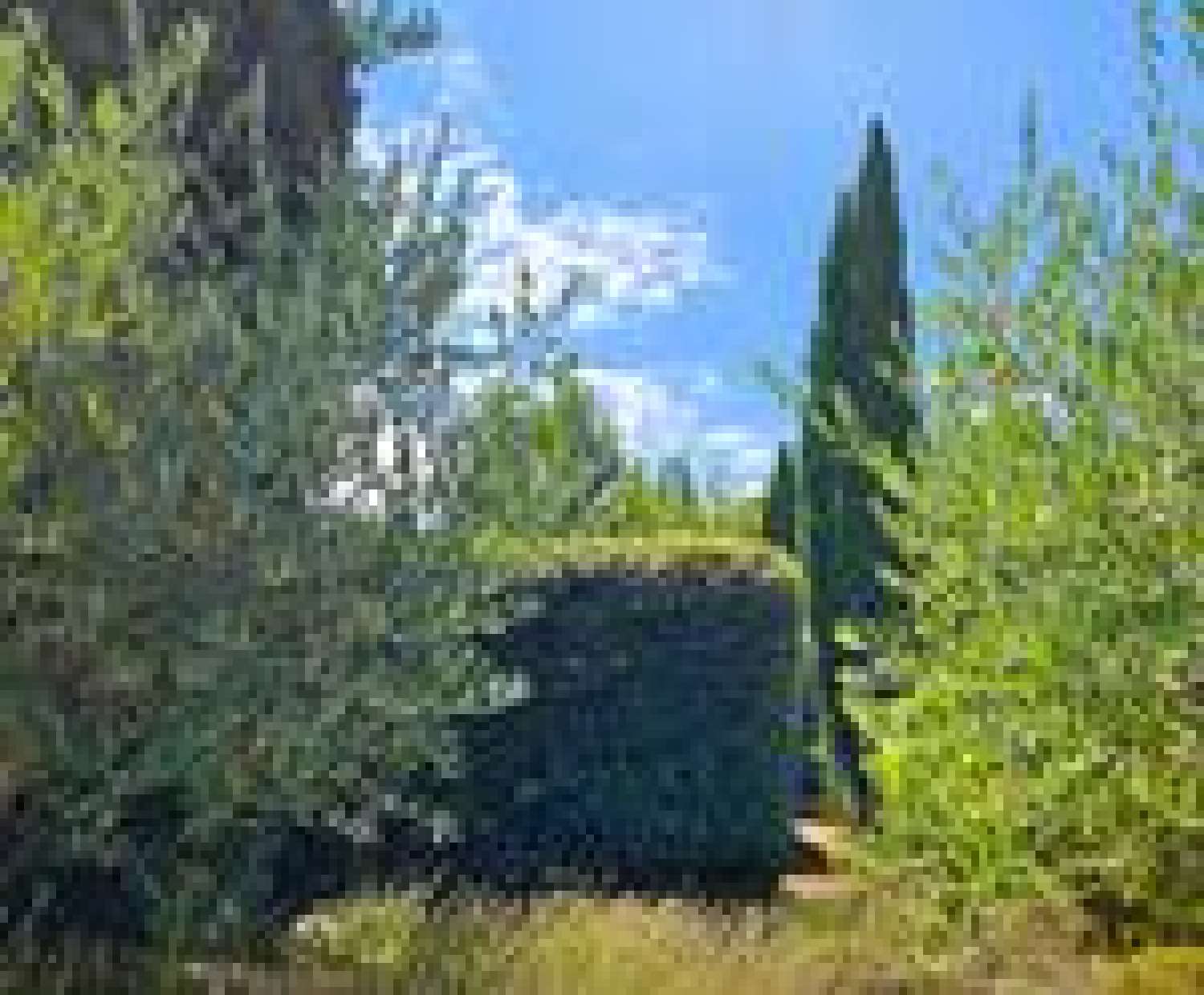  en venta casa Nans-les-Pins Var 5