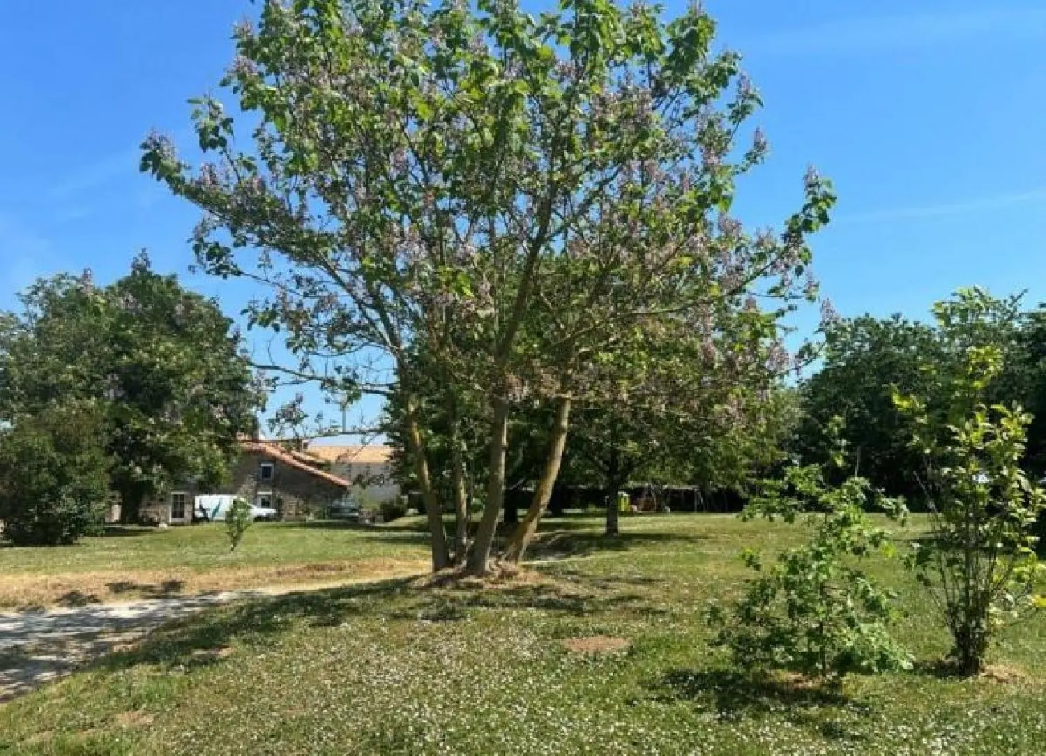  en venta casa Nanteuil-en-Vallée Charente 5