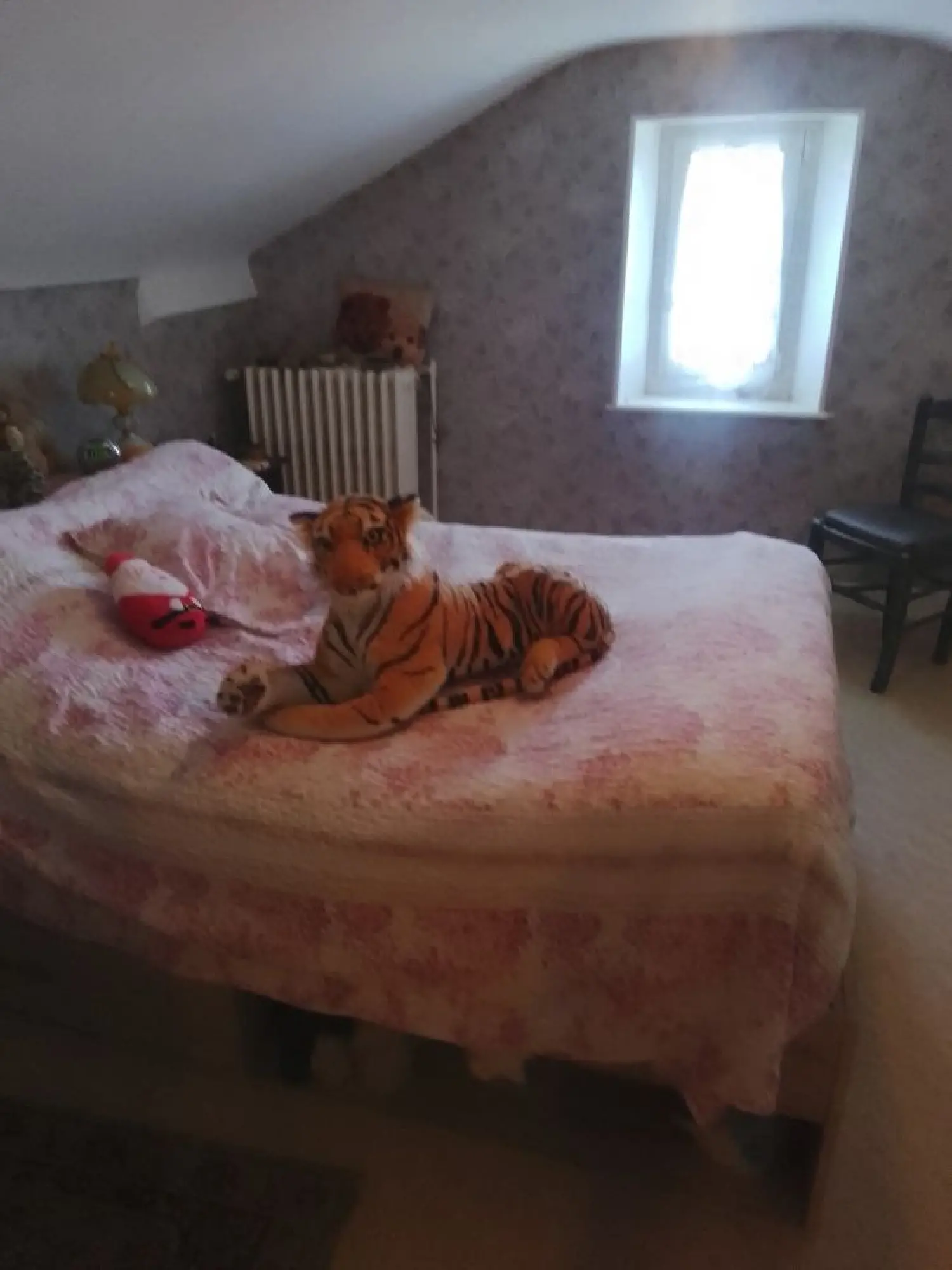  for sale house Nomexy Vosges 4