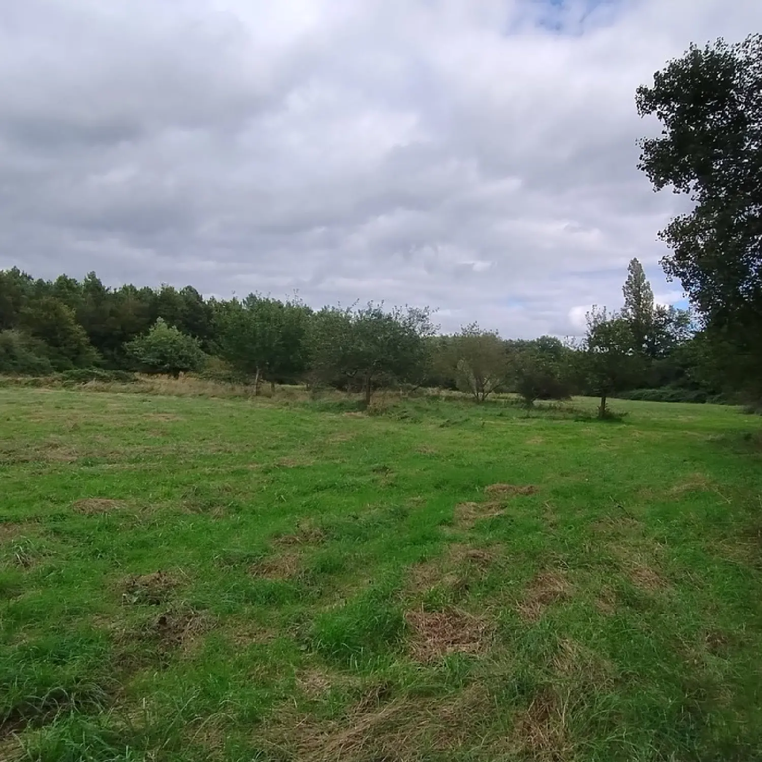  kaufen Haus Noyant Maine-et-Loire 4