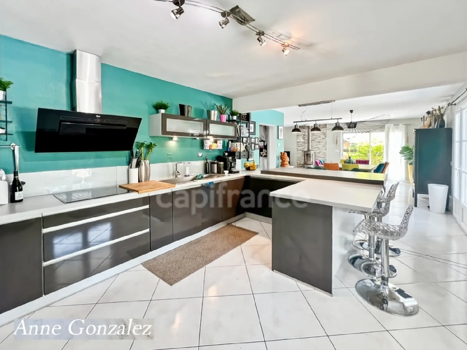  kaufen Haus Orléans 45100 Loiret 2