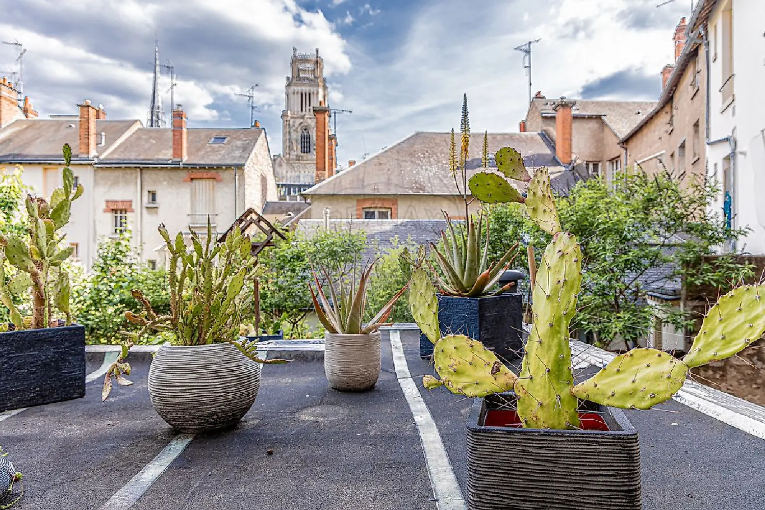  à vendre maison Orléans Loiret 1