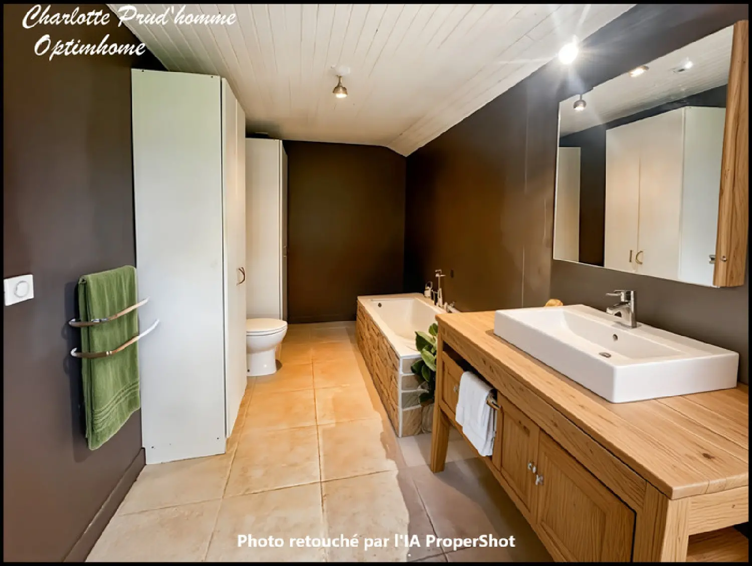  te koop huis Orthevielle Landes 7