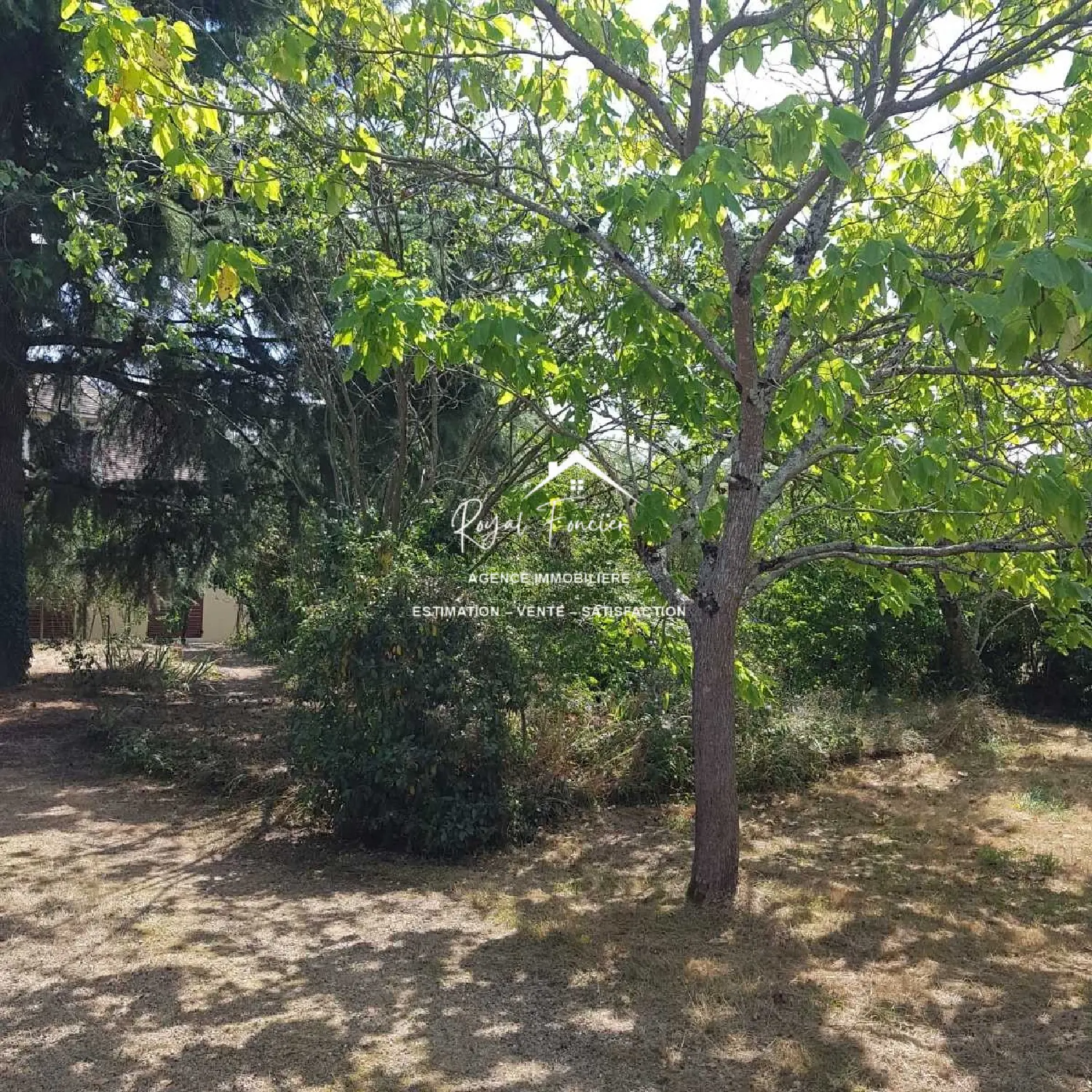  te koop huis Oyré Vienne 5