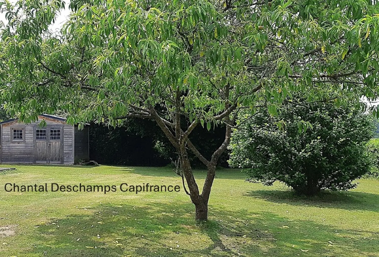  te koop huis Palinges Saône-et-Loire 3